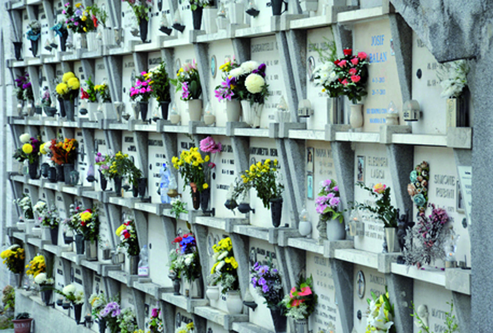 rnelle ad Ancona; fila di loculi