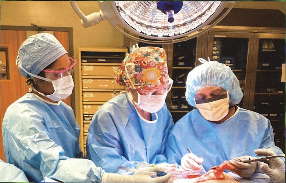 Divisione di Oncologia Chirurgica | scuola di Medicina