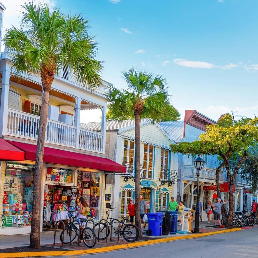Transfer di andata <b>e ritorno</b> a Key West da Miami | GetYourGuide