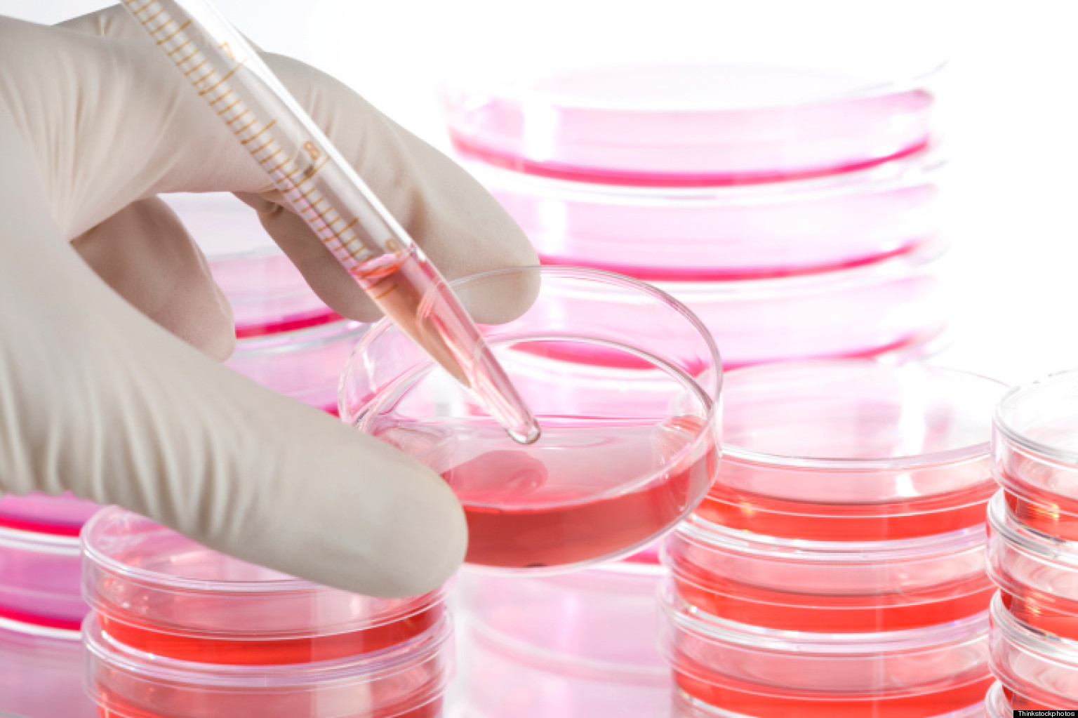 TORINO. Stamina: Merlino, “suoi promotori si approfittarono di me”