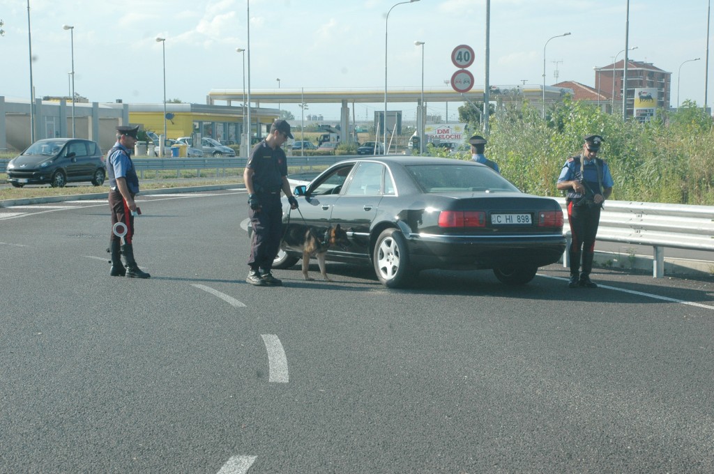carabinieri perquisizione con cani 1