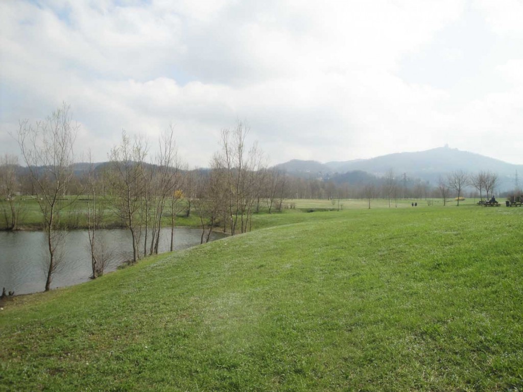 parco del po