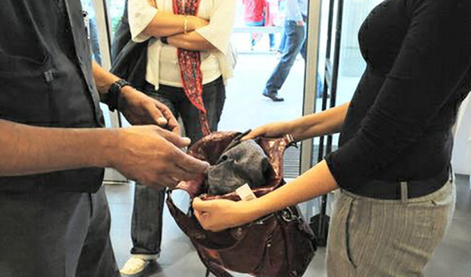 ALESSANDRIA. Raffica di furti ad Alessandria, recuperata refurtiva