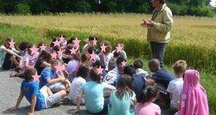 Colleretto coop Lorenzo Gatta