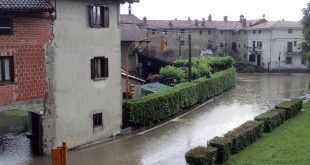 Pavone via Dietro Castello