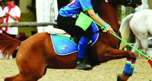 Sole Gastini all'Europeo