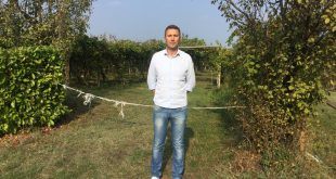 VISCHE-vigne incolte sindaco